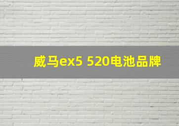 威马ex5 520电池品牌